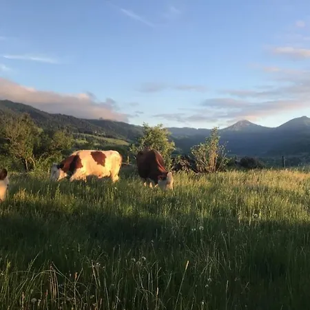 Bed & Breakfast D’hôtes De Curières Cheylade