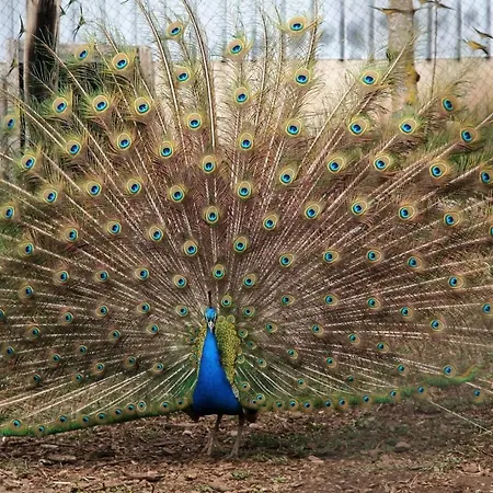 D’hôtes De Curières 3*