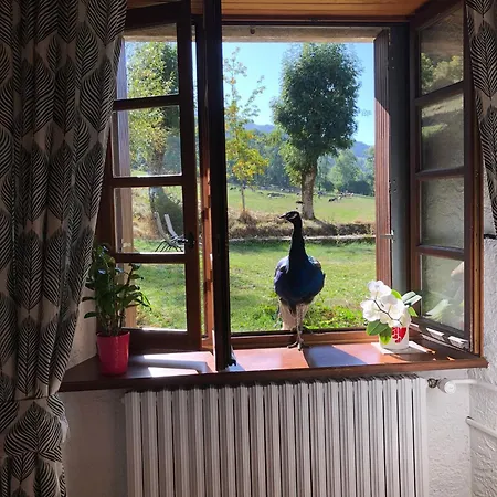 D'hotes De Curieres * Cheylade